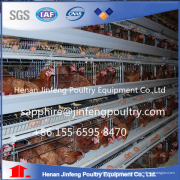 Fábrica de proveedores de China Henan Jinfeng Design Layer Cage